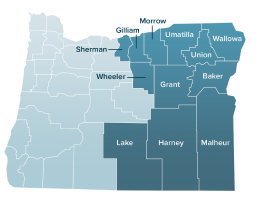 Medicare Advantage plans by county map